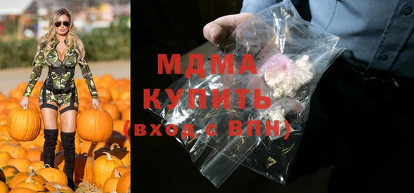 индика Бородино